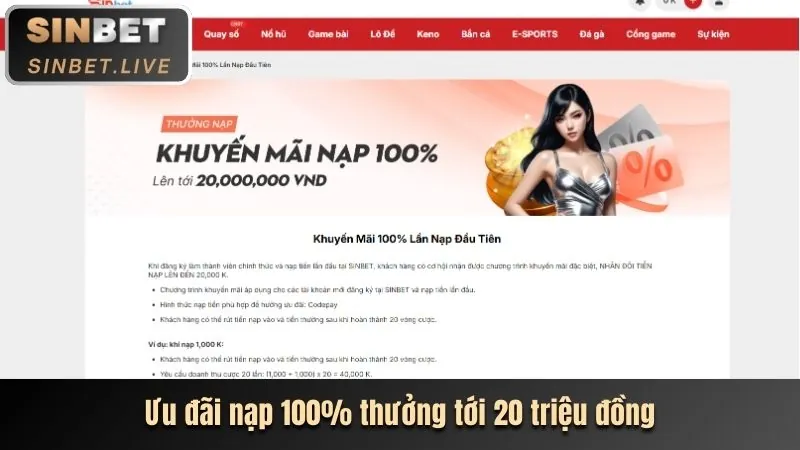 Hoàn trả tiền cược hàng ngày mebet